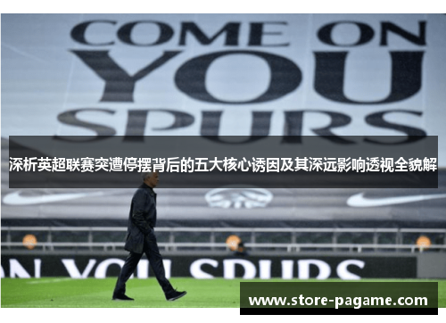 深析英超联赛突遭停摆背后的五大核心诱因及其深远影响透视全貌解 深析英超联赛突遭停摆背后的五大核心诱因及其深远影响透视全貌解