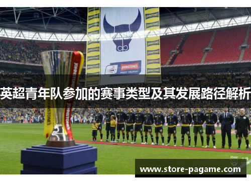 英超青年队参加的赛事类型及其发展路径解析 英超青年队参加的赛事类型及其发展路径解析