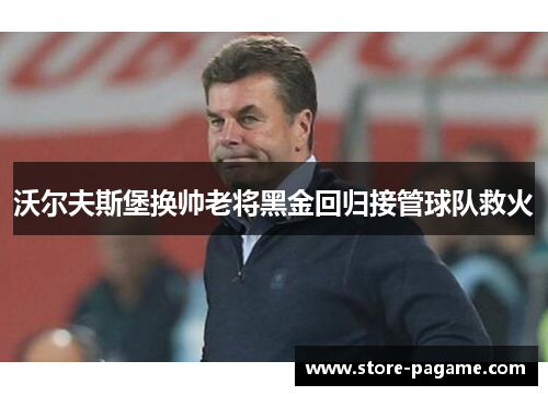 沃尔夫斯堡换帅老将黑金回归接管球队救火