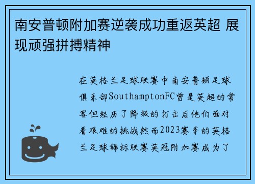 南安普顿附加赛逆袭成功重返英超 展现顽强拼搏精神